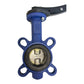 ARI Armaturen THEA DN 50-80 PN16 DN50 butterfly valve for industrial use 