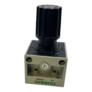 Numatics R22KG02IP Regelventil 1C2 Asco Regelventil Numatics