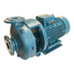 Calpeda NM50/DE-60 Wasserpumpe 15kW für industriellen Einsatz Wasserpumpe