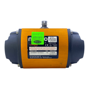 Flowserve 15-RDB40-1SD1E0-D Stellantrieb 8,3 Bar