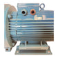 Calpeda NM50/DE-60 Wasserpumpe 15kW für industriellen Einsatz Wasserpumpe