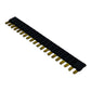 Finder 093.20.0 Comb Bridge Black 