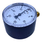 TECSIS P1553M065003 manometer 0-250bar pressure gauge 