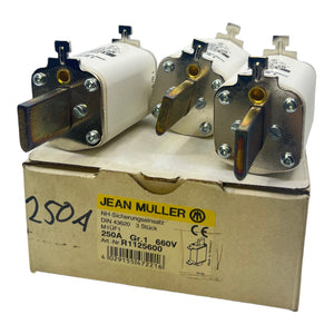 JEAN MÜLLER R1125600 fuse insert 250A pack of 3 fuse insert 