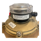 Badger Meter RCDL-BR M120 PM5-1 flow meter for industrial use 