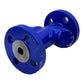 Flowserve BK45 DN15 Kondensatableiter für industriellen Einsatz FL-PN40B1