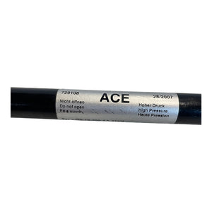 ACE GS-19-300-AA-250N Gasdruckfeder für industriellen Einsatz  Gasdruckfeder