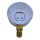 TECSIS P1533B067001 Manometer 100 MM 0…0,6 bar G1/2B Druckmessgerät