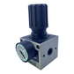 Numatics R32RG04 Druckregelventil für industriellen Einsatz Druckregelventil