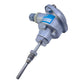 Dittmer 2xPT100 temperature sensor for industrial use Dittmer 2xPT100