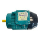 Brook Crompton WU-DA80MG electric motor 0.75kW Ø 19mm for industrial use