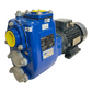 BBA Pumps B50 BVGMC Wasserpumpe für industriellen Einsatz 2,2kW 230V IP55