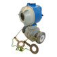 Bailey Fischer Porter 10DX3311 Flowmeter for industrial use Sensor