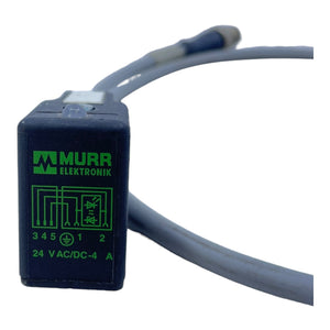 Murr M12-Rundsteckverbinder MSLL3-A-WMA0.6 Stecker Industrie Automation Einsatz