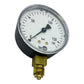 Tecsis Manometer 0-160bar P1430B082001 Manometer geeignet für die Industrie