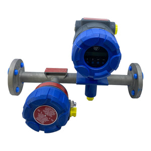 Magnetrol XTFT-A23A-00 Durchflussmesser 24V DC 100-264V AC 4-20mA