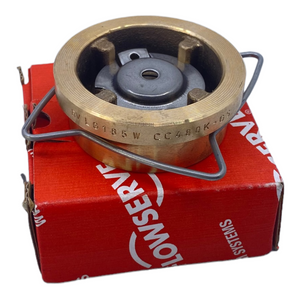 Flowserve RK44 DN25 PN16 3/13 Rückschlagventil Wasserarmatur