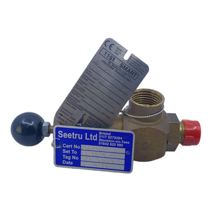 Seetru RV3519 Sicherheitsventil Wasserarmatur 4-20mA 30V DC 19 bar