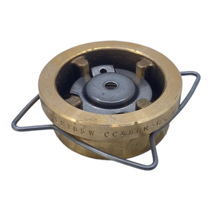 Flowserve RK44 DN25 PN16 3/13 Rückschlagventil Wasserarmatur