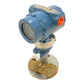 Rosemount 1199WDAG5ARFW22DAA50 + 3051 pressure transmitter 50 bar 