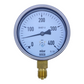 WIKA 212.20.100 pressure gauge 400 mbar