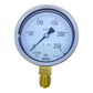 WIKA 212.20.100 pressure gauge 250 bar 