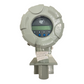 Magnetrol XTA2-A1BQ-C41- XTFT-A23A-000 Durchflussmesser 24V DC / 120-240V AC